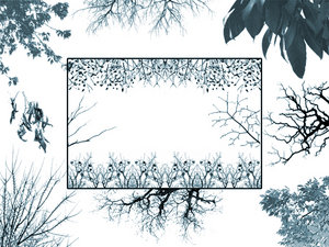 vegetal nature trees branches leaves borders corners
