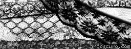 laces fishnets flowers roses textures fabrics