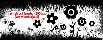 vegetal nature flowers grass herbs