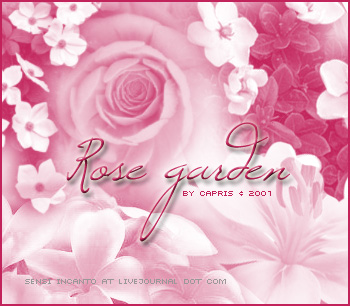 végétal nature fleurs roses  jardins