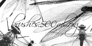 dragonflies dragonfly bugs insects wings animals nature