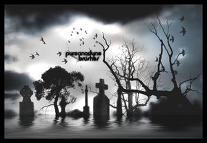 gothic spooky mist birds gravestones trees frightening death cemetery