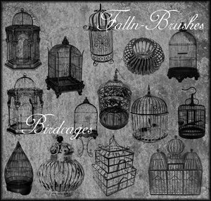 birds cages birdcages