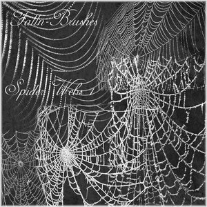 cobwebs spiders dusty spiderwebs orbwebs