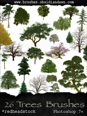 vegetal nature trees dead bonsai palm leafless leafy pines oriental willow