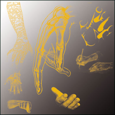 mains doigts anatomique anatomie dessins pointer poing corps médical metacarpe os