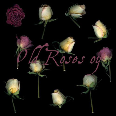 nature roses fleurs séchées fanées  amour amoureux passion vegetal vegetaux