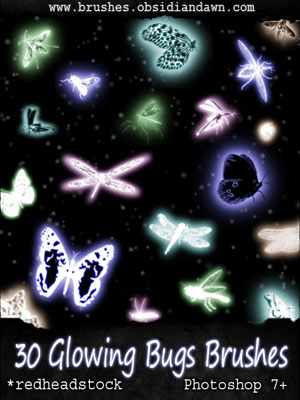 insectes animaux lumineux luminescent phoshorescent papillons de nuit libellules lucioles ailes lumineuses