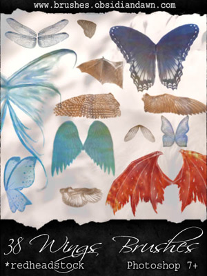 ailes voler volant fées anges papillons insectes chauve-souris démons dragons libellules
