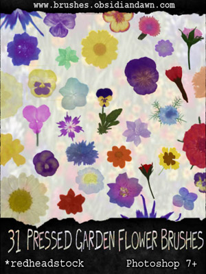 vegetal nature pressed flowers garden oreopsis candytuft daffodil rose marigold nigella delphinium daisy cornflower viola pansy primrose star-phlox zinnia