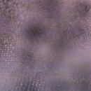 Photoshop: Absolutely random textures (various textures: velvet, sequins, lace, carpet, paper towel… All circular and faded at edges for easy overlap. )