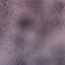 Photoshop: Absolutely random textures (textures: velours, sequins, papiers peints, dentelles, seviettes en papier… toutes circulaires et floutées au bord pour des raccords sans fil)