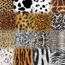 Photoshop: Animal prints (various animal prints and furs)