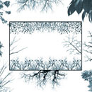 Photoshop: Tree Borders II (branches et feuillages destinés à réaliser des bordures)