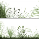 Photoshop: The Grasslands (herbs and grass)