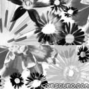 Photoshop: Flowers (marguerites et autres fleurs)
