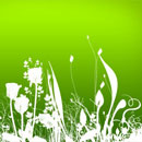 Photoshop: Fresh Foliage Photoshop Brushes for High Resolution [Part I] (plants, herbs and flowers (high resolution))