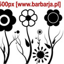 Photoshop: Barbarja floral 02 (floral patterns, flowers)
