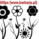 Photoshop: Barbarja floral 02 (fleurs etc)