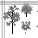 Photoshop: Trees (arbres  (haute résolution))