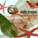 Photoshop: Shells (shells and starfish)