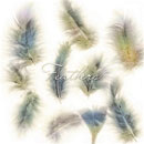 Photoshop: Feather (feathers)