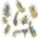 Photoshop: Feather (plumes et duvet)