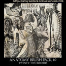 Photoshop: Anatomy Photoshop Brush Pack 1.0 (anatomy diagrams)