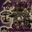 Photoshop: psychadelic mushrooms (dessins de champignons)