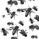Photoshop: We are Bee-Zee (plusieurs abeilles)