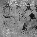 Photoshop: Spider Photoshop Brushes Set 1 (various spiders)