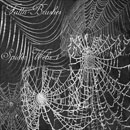 Photoshop: Spider Web Photoshop Brushes Set 1 (various spiderwebs)