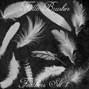 Photoshop: Feathers Photoshop Brushes Set 1 (plumes et duvet)