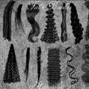 Photoshop: Hair Photoshop Brushes Set 2 (cheveux et postiches)