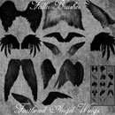 Photoshop: Feathered Angel Wings Photoshop Brushes (angel wings)