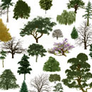Photoshop: Trees (various trees, including a bonsai, a palm, numerous dead or leafless trees, tons of 