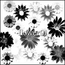 Photoshop: flower 01 (daisies and other flowers)