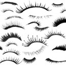 Photoshop: Eyelashes (Various shapes of eyelashes, made up of mostly open eyes, and most taken straight on (front view). A few closed, a few lower lashes, one or two from a side-ish view, and a few sets of funky/wild eyelashes. Includes both left and right eyes. About 900 pixels in width. )