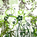 Photoshop: Vector foliage & plants (various foliage and plants in vector designs. Includes several grasses, flowers, plants, branches, cherry blossoms, bamboo, leaves, vines... Sizes average about 900 x 900 pixels)