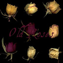 Photoshop: Old roses 01-02-03 (roses séchées)