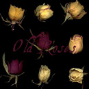 Photoshop: Old roses 01-02-03 (roses séchées)