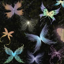 Photoshop: Fairy wings (various fairy wings. Some with glowing tendrils in various places. Fairly high resolution. Includes both right and left wings.)