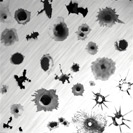 Photoshop: Bullet holes (various types of bullet holes)