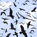 Photoshop: Birds flying (collection d'oiseaux en plein vol)
