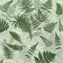 Photoshop: Ferns (various species, sizes, and orientations of ferns)