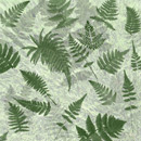 Photoshop: Ferns (différentes espèces de fougères)