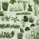 Photoshop: Grasses & plants (various grasses and plants)