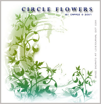 vegetal nature plants leaves flowers foliage
