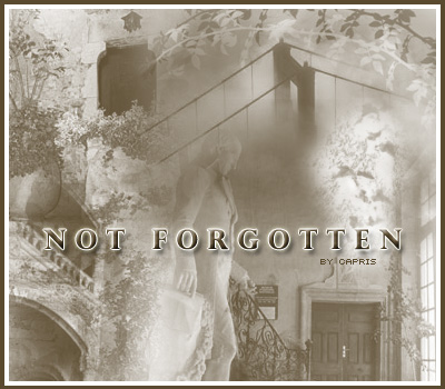 history past old time souvenirs remember treasures time ancesters memories nostalgy