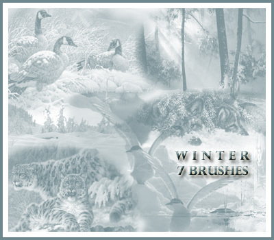 winter animals nature trees snow